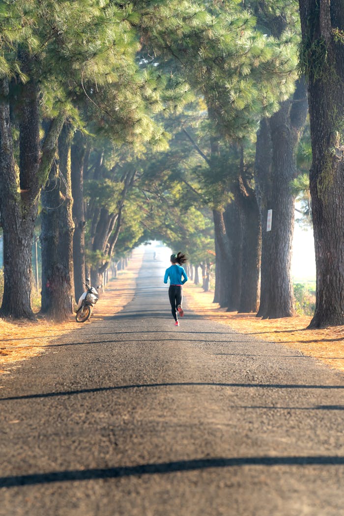 services-04 Woman jogging on a scenic tree-lined road during a sunny day.